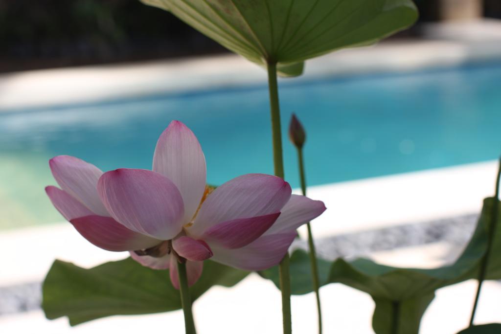 Villa Alu Lima Seminyak Pokój zdjęcie