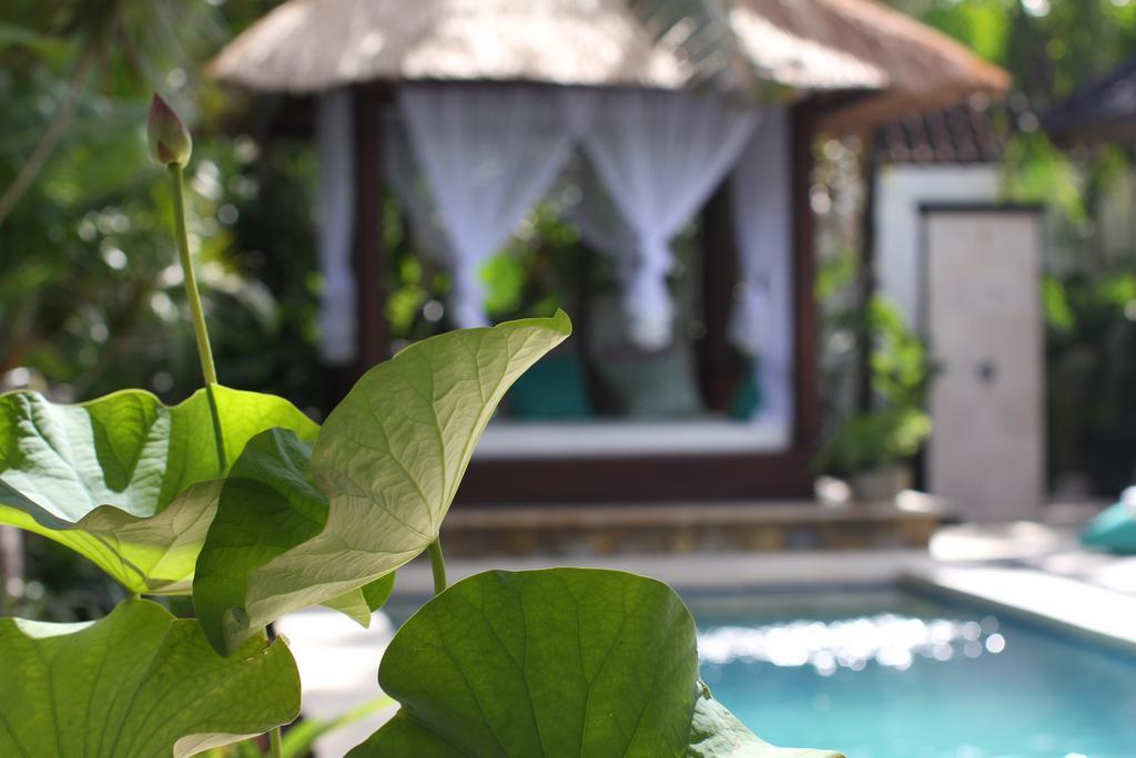 Villa Alu Lima Seminyak Zewnętrze zdjęcie